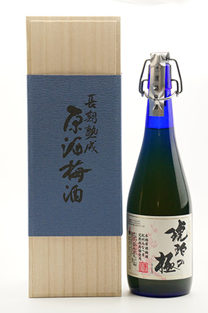 琥珀の極